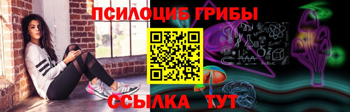 Туапсе  Псилоцибиновые грибы MAGIC MUSHROOMS  Псилоцибиновые грибы Magic Shrooms  Вход с VPN 