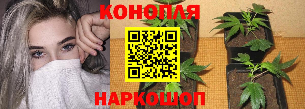 Каннабис тримм  Вход с VPN  Каннабис SATIVA & INDICA  Бошки марихуана SATIVA & INDICA  Туапсе 